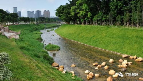 渤海灣的守望 水污染治理與跨海大橋建設背后的考量