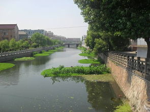 城市水污染治理的困境與路徑探索