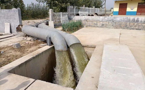 九戶鎮多措并舉筑牢生態屏障 扎實推進秸稈禁燒與水污染治理工作